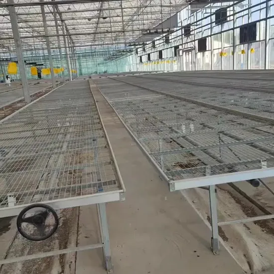 Fabricación de alambre de dirección con bajo contenido de carbono personalizado Productos de jardinería estándar Semillero de horticultura Xinhe